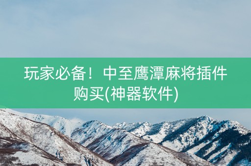 玩家必备！中至鹰潭麻将插件购买(神器软件)