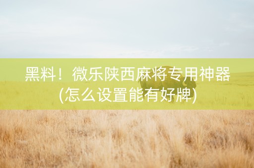 黑料！微乐陕西麻将专用神器(怎么设置能有好牌)