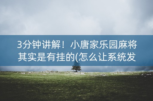 3分钟讲解！小唐家乐园麻将其实是有挂的(怎么让系统发好牌)