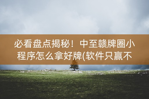 必看盘点揭秘！中至赣牌圈小程序怎么拿好牌(软件只赢不输)