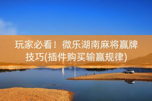 玩家必看！微乐湖南麻将赢牌技巧(插件购买输赢规律)
