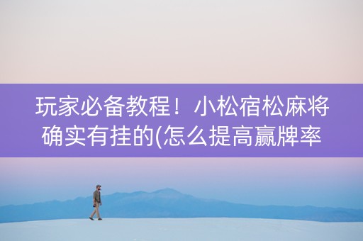 玩家必备教程！小松宿松麻将确实有挂的(怎么提高赢牌率)