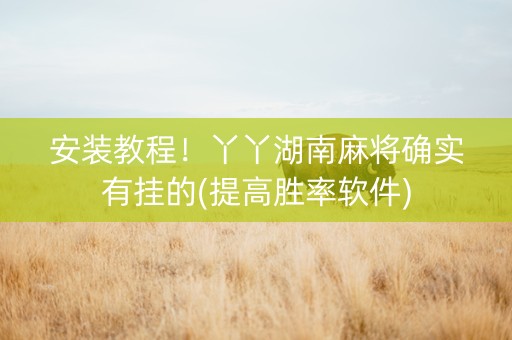 安装教程！丫丫湖南麻将确实有挂的(提高胜率软件)