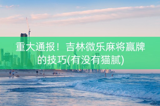 重大通报！吉林微乐麻将赢牌的技巧(有没有猫腻)