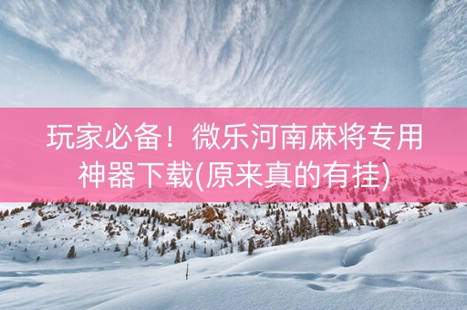 玩家必备！微乐河南麻将专用神器下载(原来真的有挂)