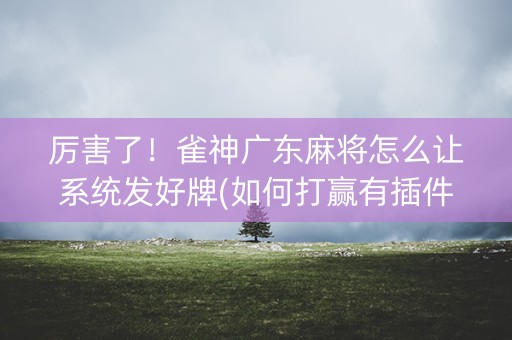 厉害了！雀神广东麻将怎么让系统发好牌(如何打赢有插件吗)