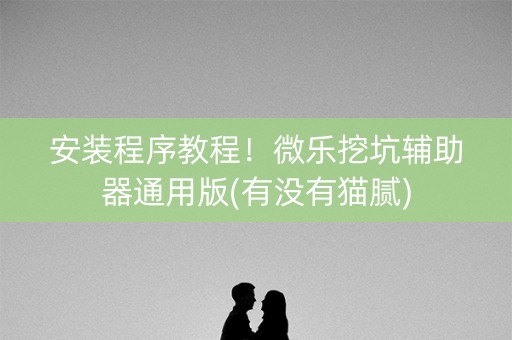 安装程序教程！微乐挖坑辅助器通用版(有没有猫腻)