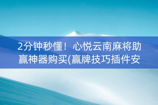 2分钟秒懂！心悦云南麻将助赢神器购买(赢牌技巧插件安装)