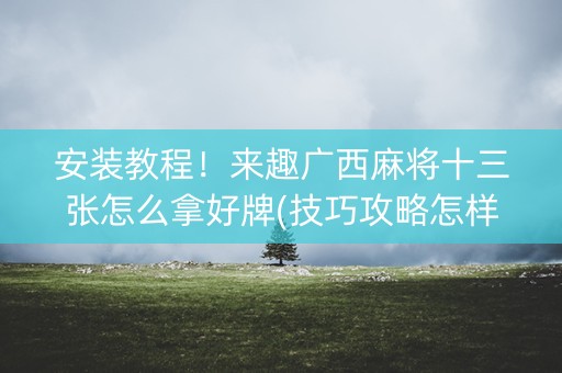 安装教程！来趣广西麻将十三张怎么拿好牌(技巧攻略怎样拿好牌)