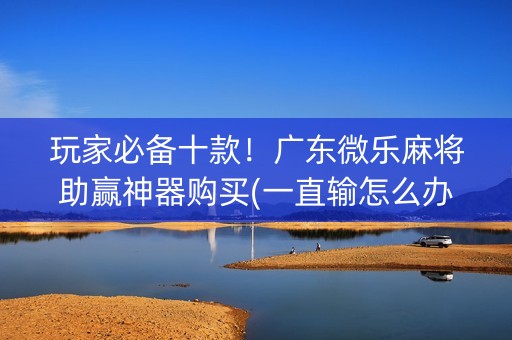 玩家必备十款！广东微乐麻将助赢神器购买(一直输怎么办)