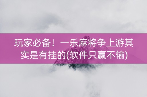 玩家必备！一乐麻将争上游其实是有挂的(软件只赢不输)