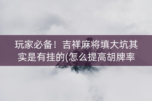 玩家必备！吉祥麻将填大坑其实是有挂的(怎么提高胡牌率)