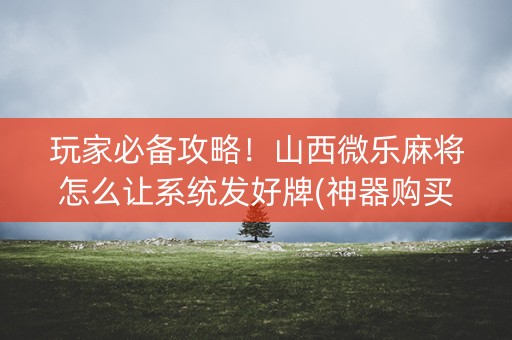 玩家必备攻略！山西微乐麻将怎么让系统发好牌(神器购买好牌规律)