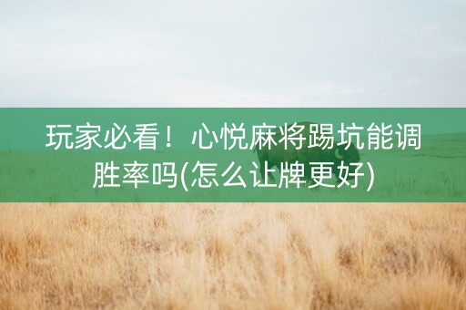 玩家必看！心悦麻将踢坑能调胜率吗(怎么让牌更好)
