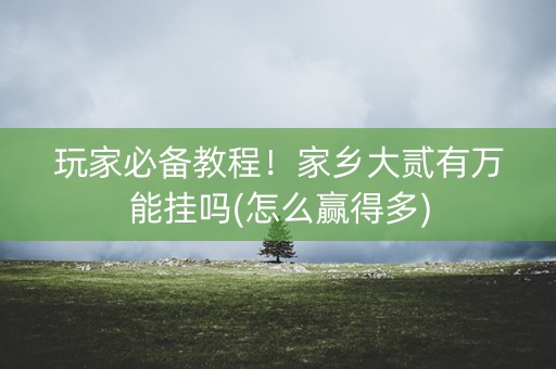 玩家必备教程！家乡大贰有万能挂吗(怎么赢得多)