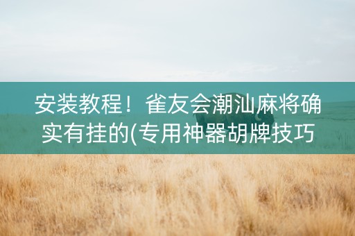 安装教程！雀友会潮汕麻将确实有挂的(专用神器胡牌技巧)