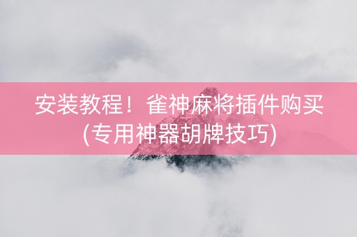安装教程！雀神麻将插件购买(专用神器胡牌技巧)