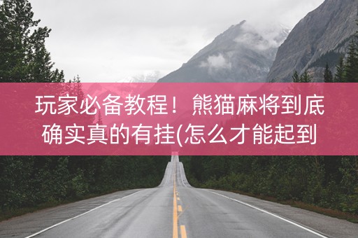 玩家必备教程！熊猫麻将到底确实真的有挂(怎么才能起到好牌)