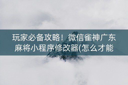 玩家必备攻略！微信雀神广东麻将小程序修改器(怎么才能起到好牌)