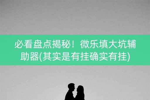必看盘点揭秘！微乐填大坑辅助器(其实是有挂确实有挂)