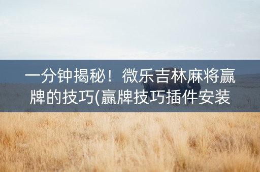 一分钟揭秘！微乐吉林麻将赢牌的技巧(赢牌技巧插件安装)