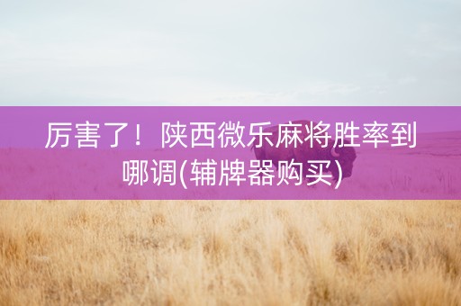 厉害了！陕西微乐麻将胜率到哪调(辅牌器购买)