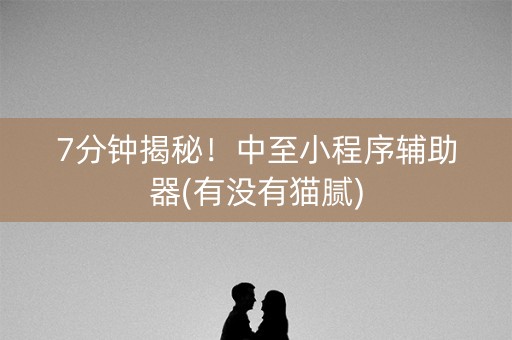 7分钟揭秘！中至小程序辅助器(有没有猫腻)