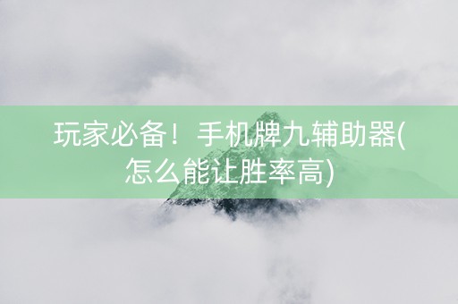 玩家必备！手机牌九辅助器(怎么能让胜率高)