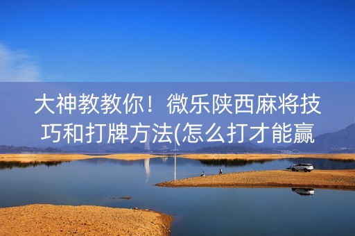 大神教教你！微乐陕西麻将技巧和打牌方法(怎么打才能赢)