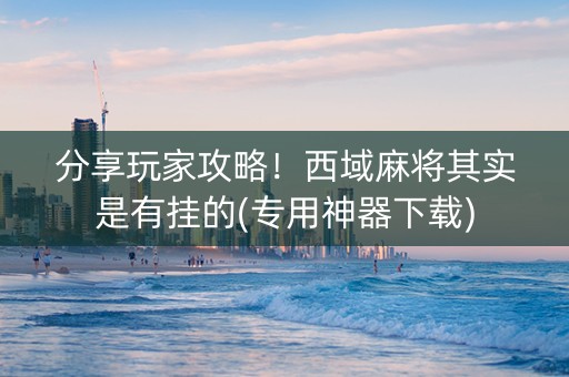 分享玩家攻略！西域麻将其实是有挂的(专用神器下载)