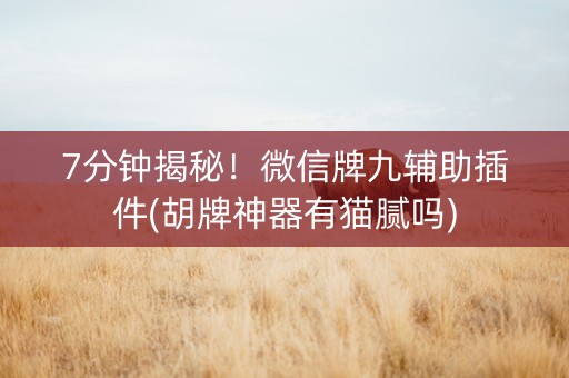 7分钟揭秘！微信牌九辅助插件(胡牌神器有猫腻吗)