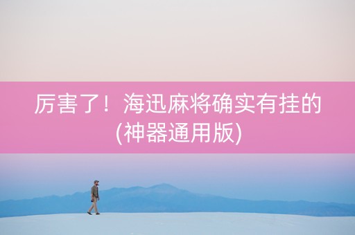 厉害了！海迅麻将确实有挂的(神器通用版)