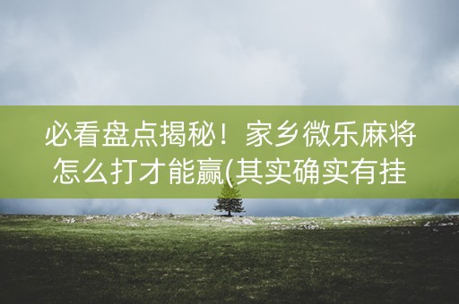 必看盘点揭秘！家乡微乐麻将怎么打才能赢(其实确实有挂)
