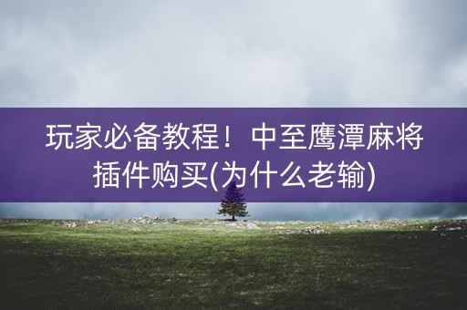 玩家必备教程！中至鹰潭麻将插件购买(为什么老输)