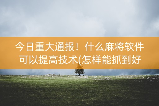 今日重大通报！什么麻将软件可以提高技术(怎样能抓到好牌)