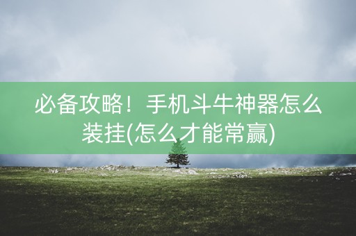 必备攻略！手机斗牛神器怎么装挂(怎么才能常赢)