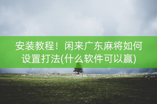 安装教程！闲来广东麻将如何设置打法(什么软件可以赢)