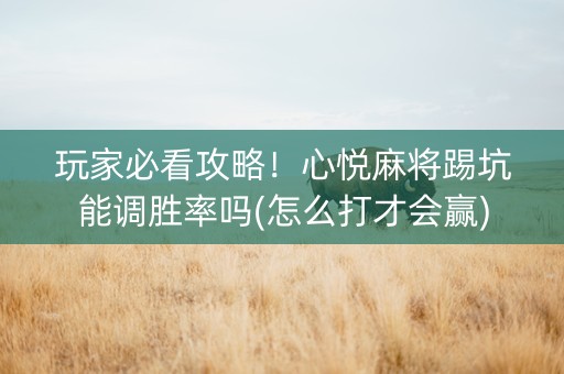 玩家必看攻略！心悦麻将踢坑能调胜率吗(怎么打才会赢)