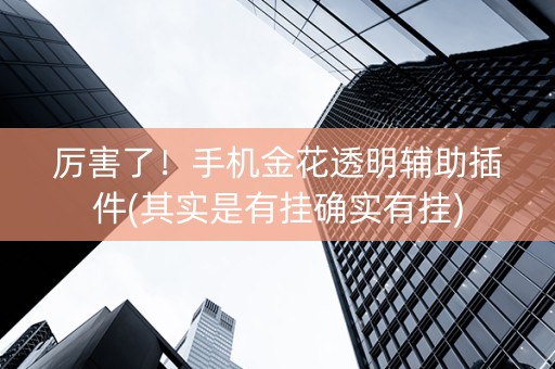 厉害了！手机金花透明辅助插件(其实是有挂确实有挂)