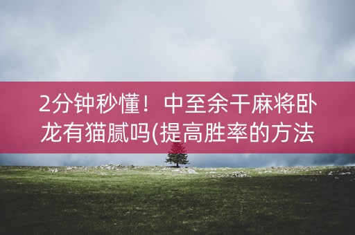 2分钟秒懂！中至余干麻将卧龙有猫腻吗(提高胜率的方法)
