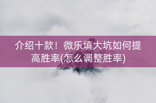 介绍十款！微乐填大坑如何提高胜率(怎么调整胜率)