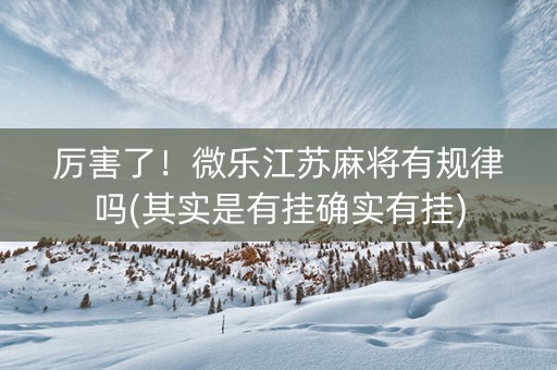 厉害了！微乐江苏麻将有规律吗(其实是有挂确实有挂)