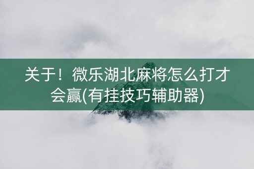 关于！微乐湖北麻将怎么打才会赢(有挂技巧辅助器)