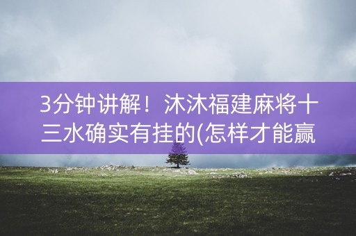 3分钟讲解！沐沐福建麻将十三水确实有挂的(怎样才能赢)