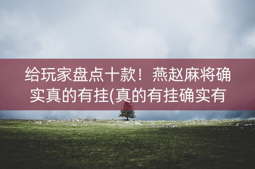 给玩家盘点十款！燕赵麻将确实真的有挂(真的有挂确实有挂)
