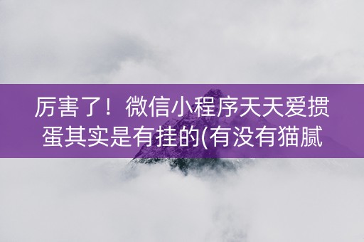 厉害了！微信小程序天天爱掼蛋其实是有挂的(有没有猫腻)