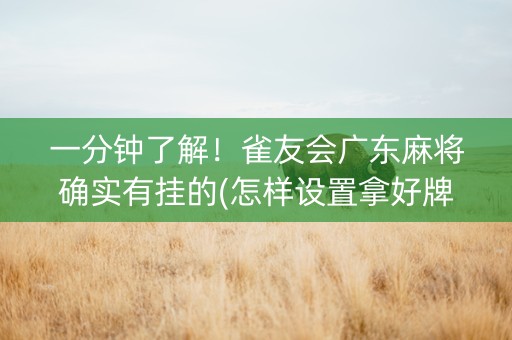 一分钟了解！雀友会广东麻将确实有挂的(怎样设置拿好牌)