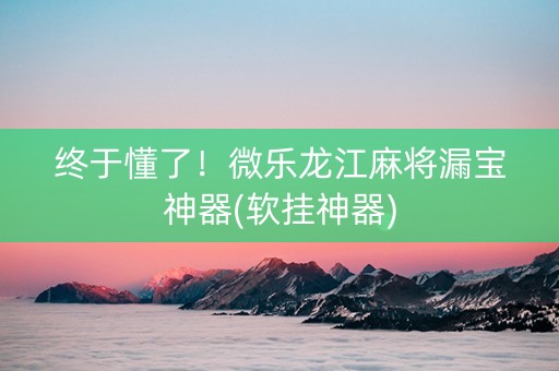 终于懂了！微乐龙江麻将漏宝神器(软挂神器)