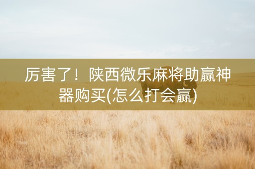 厉害了！陕西微乐麻将助赢神器购买(怎么打会赢)