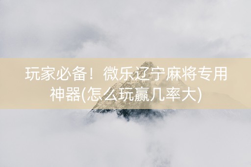 玩家必备！微乐辽宁麻将专用神器(怎么玩赢几率大)